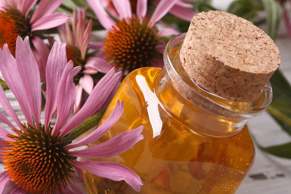 Ätherisches Öl von Echinacea purpurea Makro horizontal — Stockfoto