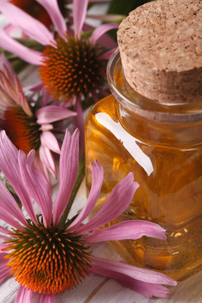 Essence of Echinacea purpurea macro in a glass bottle — Stock Photo, Image