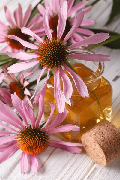 Essence lila coneflower közelről a palackban. függőleges — Stock Fotó