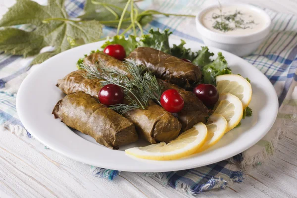 Grape leaves stuffed with meat and rice on a plate. horizontal — Stockfoto