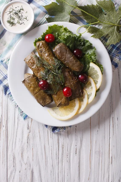 Dolma: grape leaves stuffed with meat, vertical top view — Stockfoto