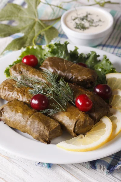 Stuffed grape leaves on a plate and sauce. vertical — Stock Photo, Image