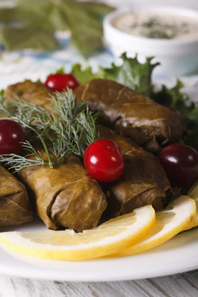 Dolma of grape leaves on a plate macro. vertical — Stock Photo, Image