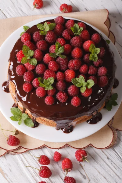 Sponge cake with chocolate and fresh raspberries vertical top vi — Stockfoto