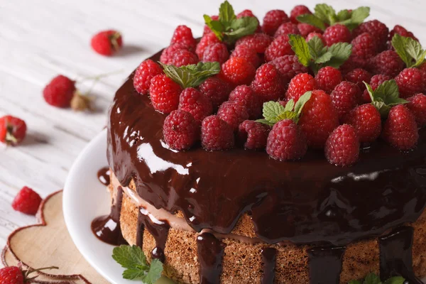 Chocolate cake with fresh raspberries close-up horizontal — Stock Photo, Image