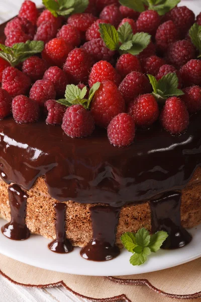 Chocolate raspberry cake with fresh berries close up vertical — Stock Photo, Image