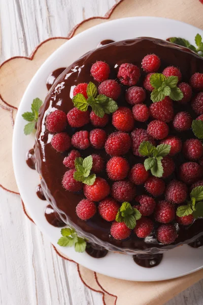 Chocolate raspberry cake close up on a plate. Vertical top view — 图库照片