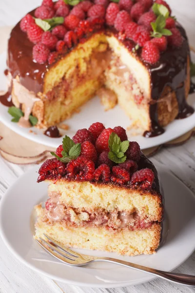 Sliced raspberry sponge cake close up on a white plate. Vertical — Stock fotografie