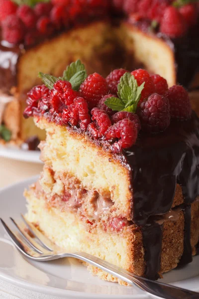 Piece of raspberry cake on a white plate macro. vertical — Stockfoto