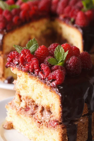 Delicious piece of raspberry cake on a plate macro. vertical — Stockfoto