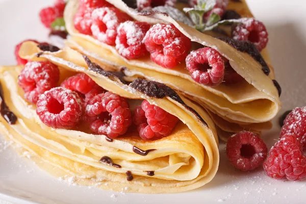 Raspberry crepes with chocolate frosting macro on a plate. horiz — Stock Photo, Image