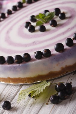 çizgili Frenk üzümü cheesecake yakın bir plaka üzerinde çekim. Dikey