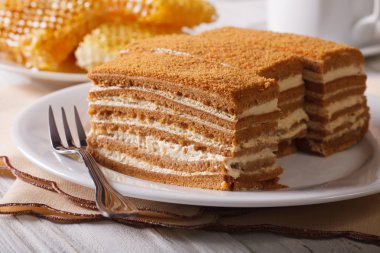 honey cake close-up on a plate on background honeycomb. horizont