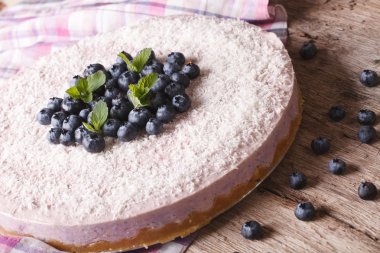 Delicious blueberry cheesecake with coconut close-up. horizontal