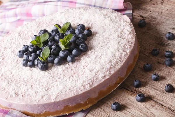 Delicious blueberry cheesecake with coconut close-up. horizontal