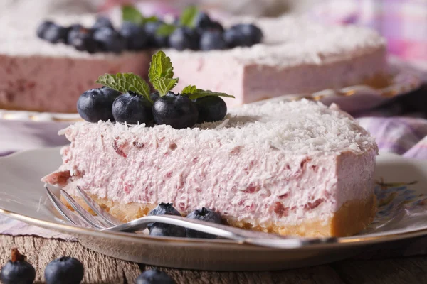 Piece of delicious blueberry cheesecake with coconut macro — Stok fotoğraf