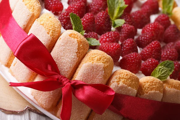 Delicate raspberry cake met Savoiardi macro op een plaat. Horizon — Stockfoto