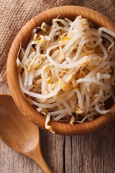 ahşap kase closeup mung fasulye filizi. Dikey üst vie