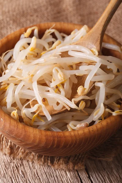 Germogli di fagioli crudi macis mung in una ciotola di legno. verticale — Foto Stock