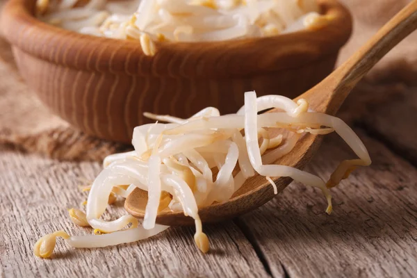 bir tahta kaşık içinde makro mung fasulye filizi. Yatay