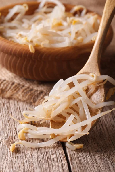 bir tahta kaşık içinde makro mung fasulye filizi. dikey