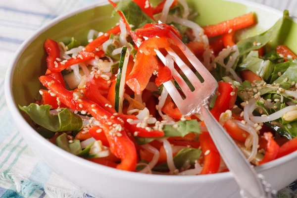 Ensalada con brotes de frijol, pimientos y semillas de sésamo primer plano. horiz — Foto de Stock