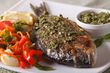 Pesto ve taze salata closeup ile yaldızlı kafalı çipura. Horizont