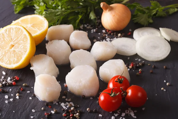 Raw scallops and ingredients close-up. horizontal — Stock Photo, Image