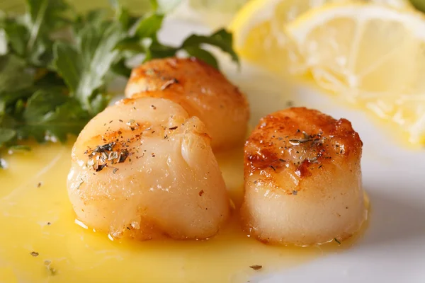 Grilled scallops with sauce on a plate macro. horizontal — Stock Photo, Image