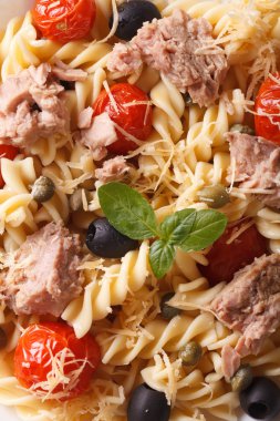 Ton balığı ve domates makro ile düdük makarna. arka plan dikey 