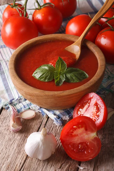 Salsa de tomate casera con ajo y albahaca en un bowl de primer plano. v) — Foto de Stock