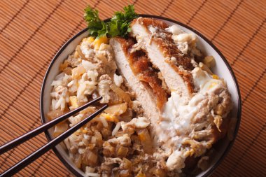 Japon yemekleri katsudon portre. Yatay Üstten Görünüm
