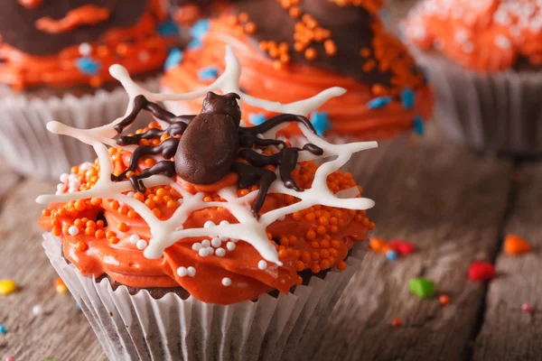 Halloween cupcakes with chocolate spider close-up. horizontal — Stock Photo, Image