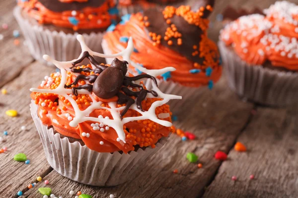 Halloween cupcakes decorated with chocolate spider close-up — Stock Photo, Image