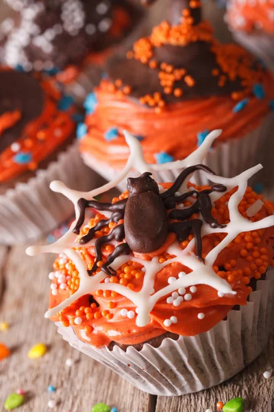 Απόκριες νόστιμο cupcakes με σοκολάτα αράχνη close-up. ver — Φωτογραφία Αρχείου