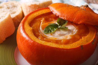 Çorba pişmiş kabak yakın çekim ekşi krema ile püre. Horizont