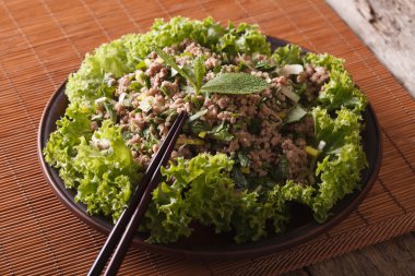 Tay gıda: laab salata otlar, yatay ile kıyılmış et