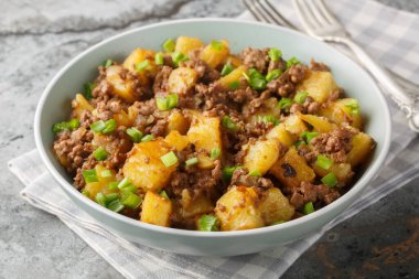 Kızarmış patates, kıyma ve yeşil soğan tabakta masanın üstünde. Yatay