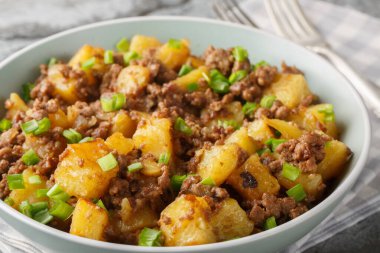 Kızarmış patates, kıymalı ve yeşil soğanlı. Masanın üstünde yakın plan. Yatay