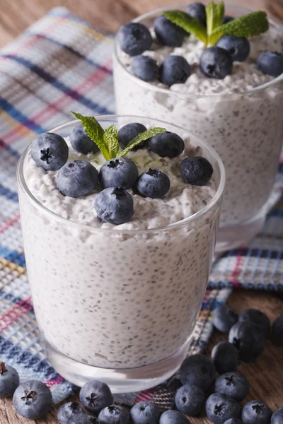 Colazione sana: budino ai semi di chia e primo piano ai mirtilli. ver — Foto Stock