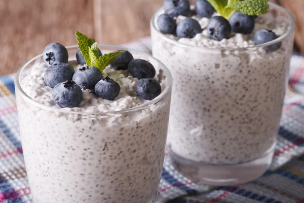 Chia zaad pudding en bosbes macro. Horizontale — Stockfoto