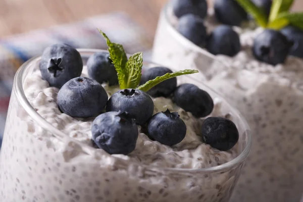 Chia seeds with yogurt and blueberries macro. horizontal — Stock Photo, Image