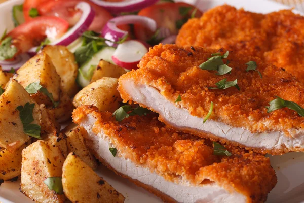 Schnitzel picado, salada e batatas fritas close-up. Horizontal — Fotografia de Stock