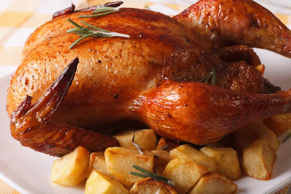 Жареная курица и чипсы крупным планом на тарелке. Горизонталь — стоковое фото