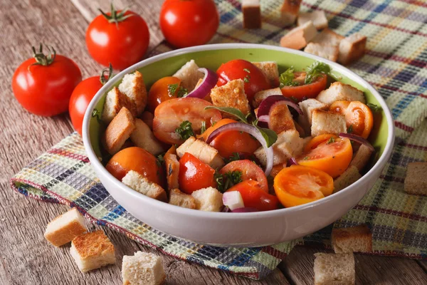 Italian bread salad with vegetables - panzanella close-up horizo — Stock Photo, Image