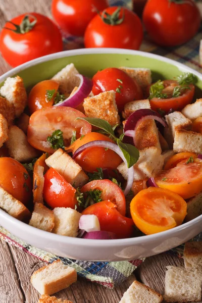 Fresh Italian panzanella salad close-up on the table. Vertical — Stock Photo, Image