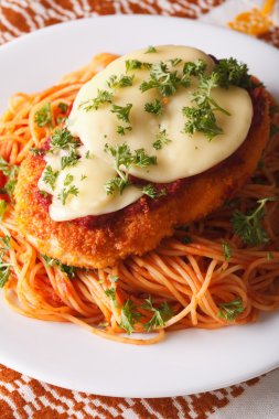 Tavuk yakın bir plaka üzerinde ince ve makarna. Dikey