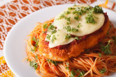 Tavuk yakın bir plaka üzerinde ince ve makarna. Yatay