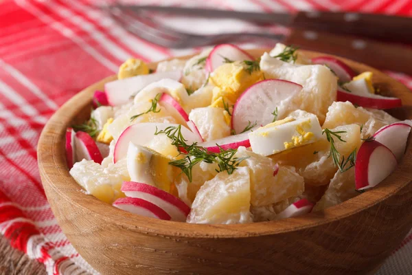 Salade de pommes de terre avec radis et oeufs macro sur une assiette. Horizontal — Photo