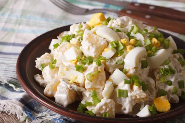 Kartoffelsalat mit Mayonnaise in Großaufnahme auf einem Teller. horizontal — Stockfoto